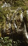 439_Nevelwoud en waterfallen, Annapurnaroute